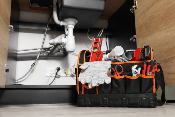 Best Same-Day Plumbing Service  in De Leon, TX